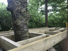 Treehouse Pt.1 preparation.