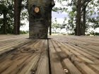 Treehouse Pt.1 complete.