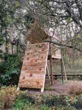 Riverside treehouse